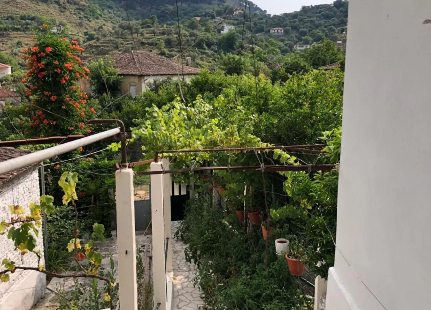 Vila Lili'S House Delvine